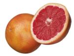 pink grapefruit GMP
