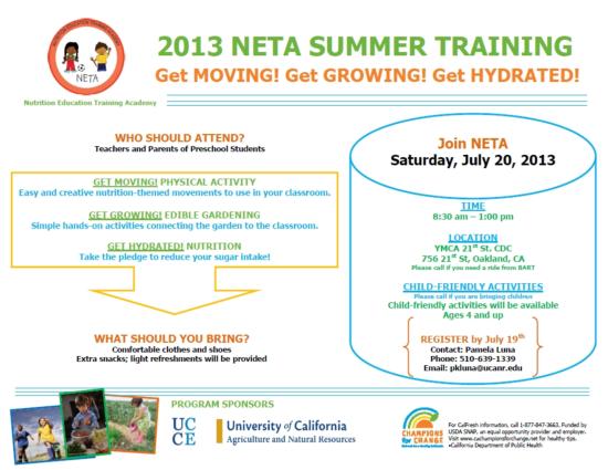 2013 NETA Summer Training Flyer